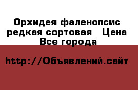 Орхидея фаленопсис редкая сортовая › Цена ­ 800 - Все города  »    